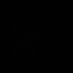 Meet your Posher, Damian